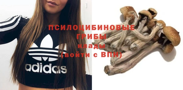 трава Армянск