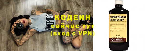 spice Богданович