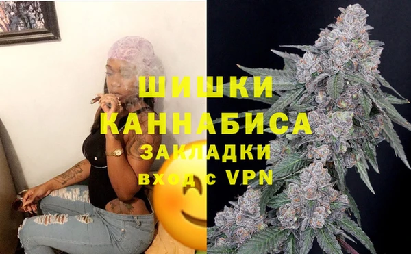 трава Армянск